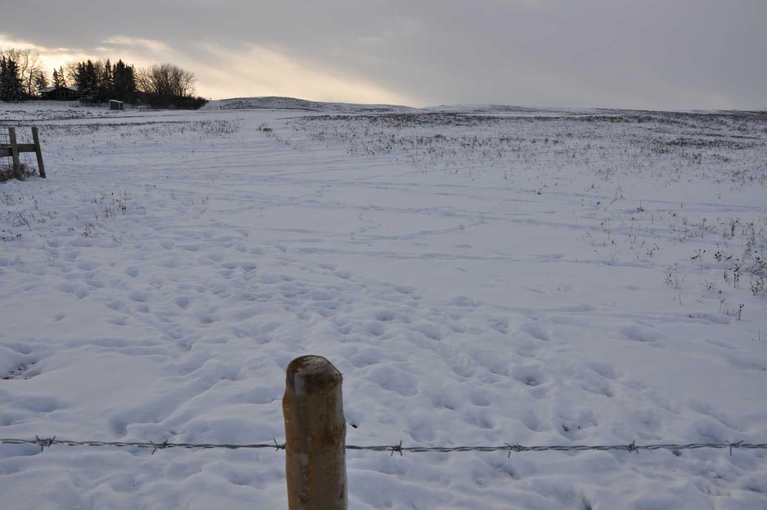 Range Road 14 Big Hill Springs  