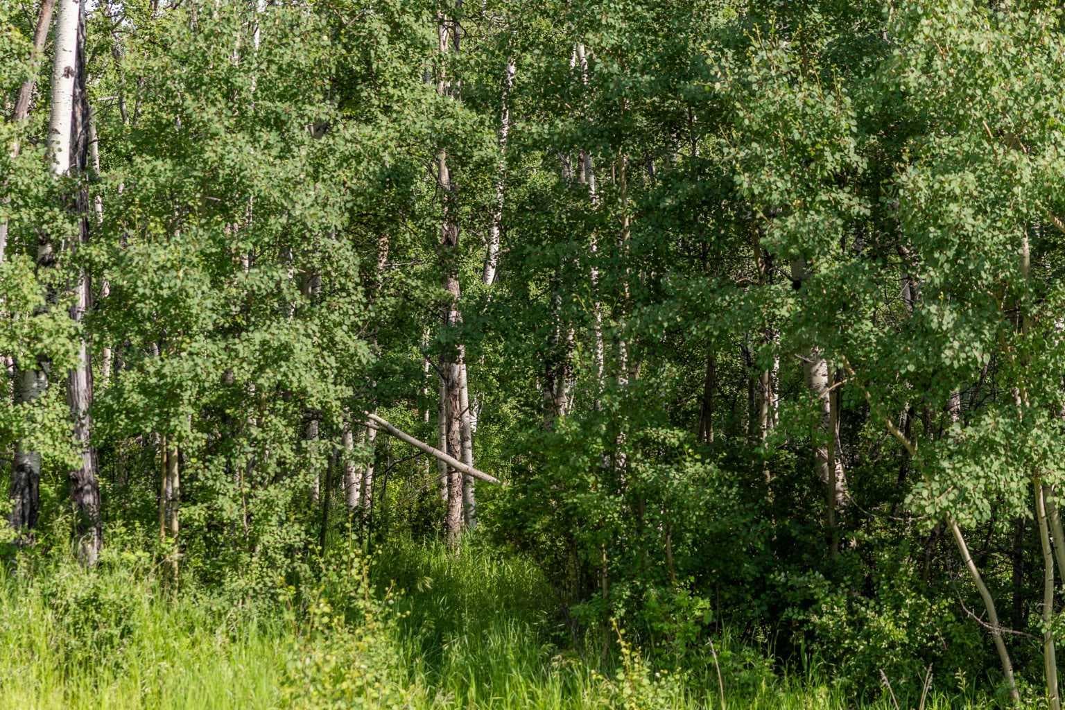 25151 Escarpment Ridge View 