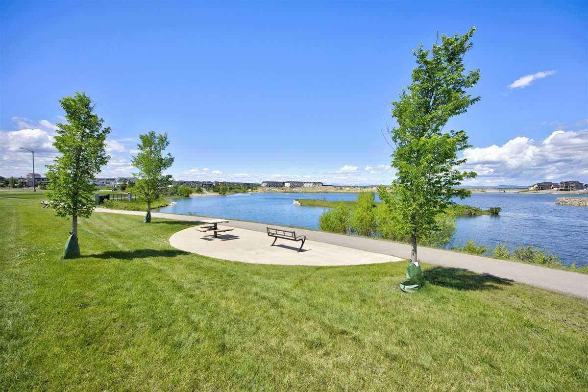 1113 Sailfin Heath 