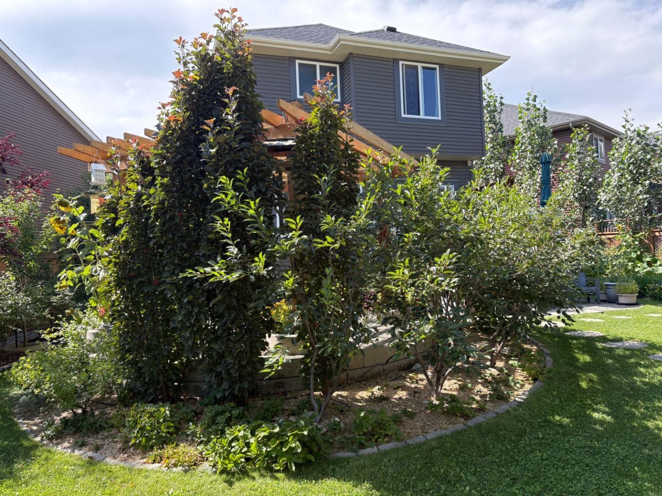 64 Sunrise Terrace 
