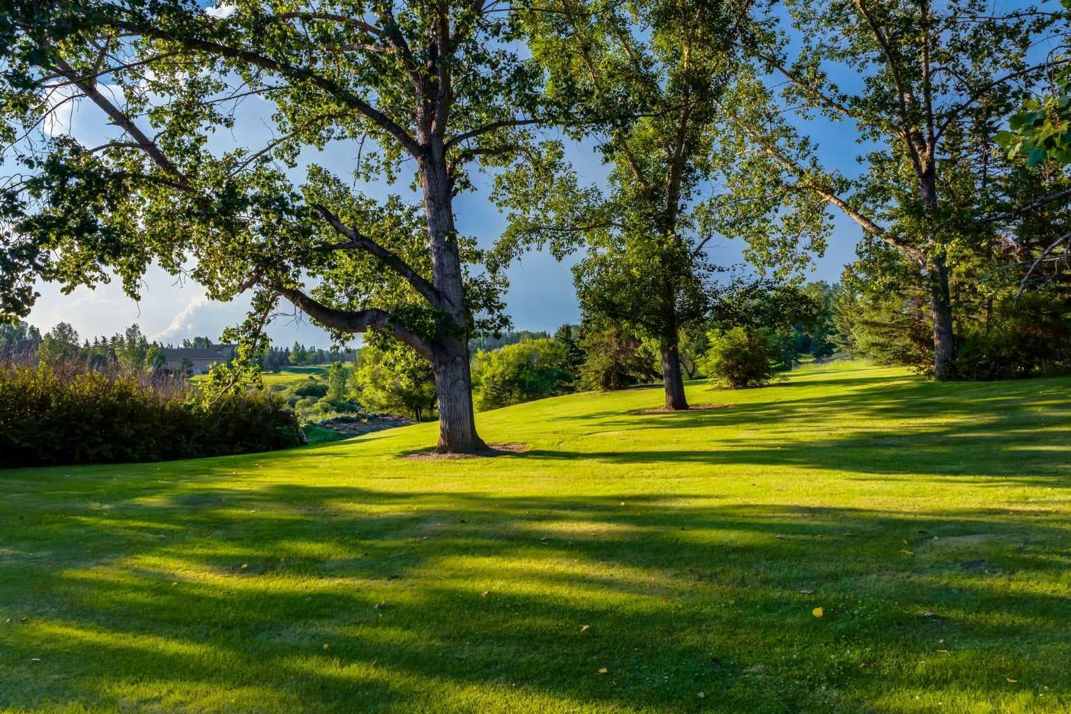 43 Cullen Creek Estates 