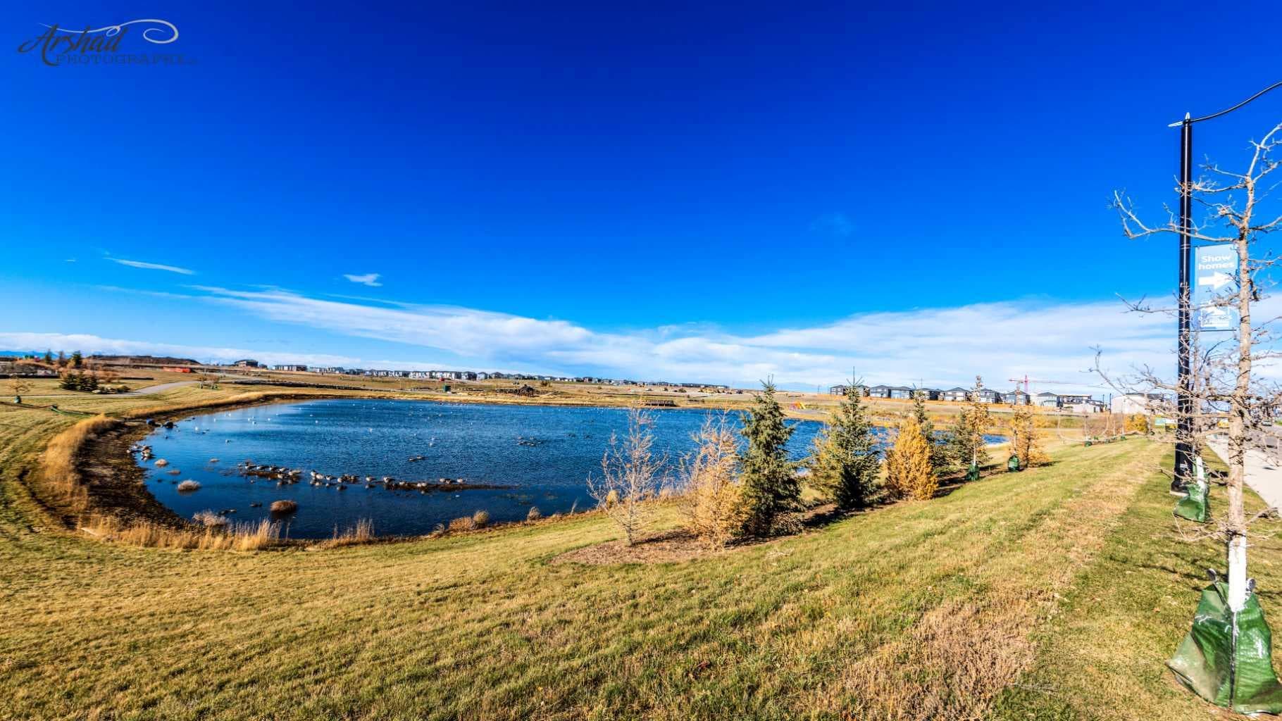 192 Cove Rise Rise 