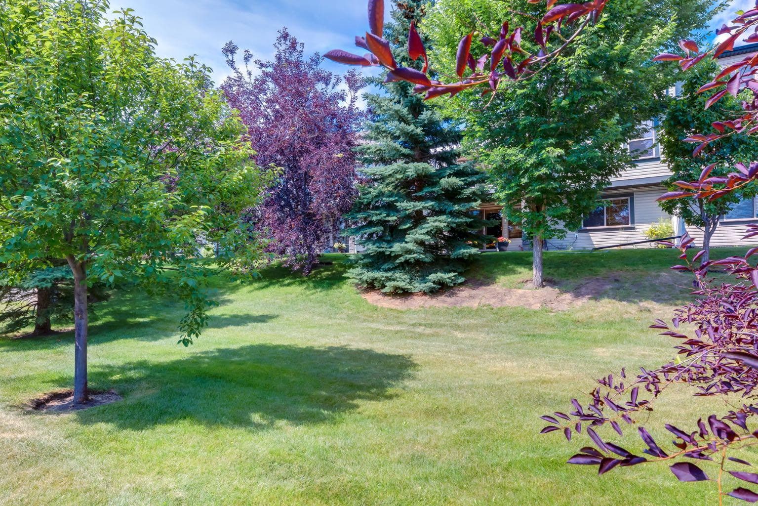 218 Springbank Villas SW