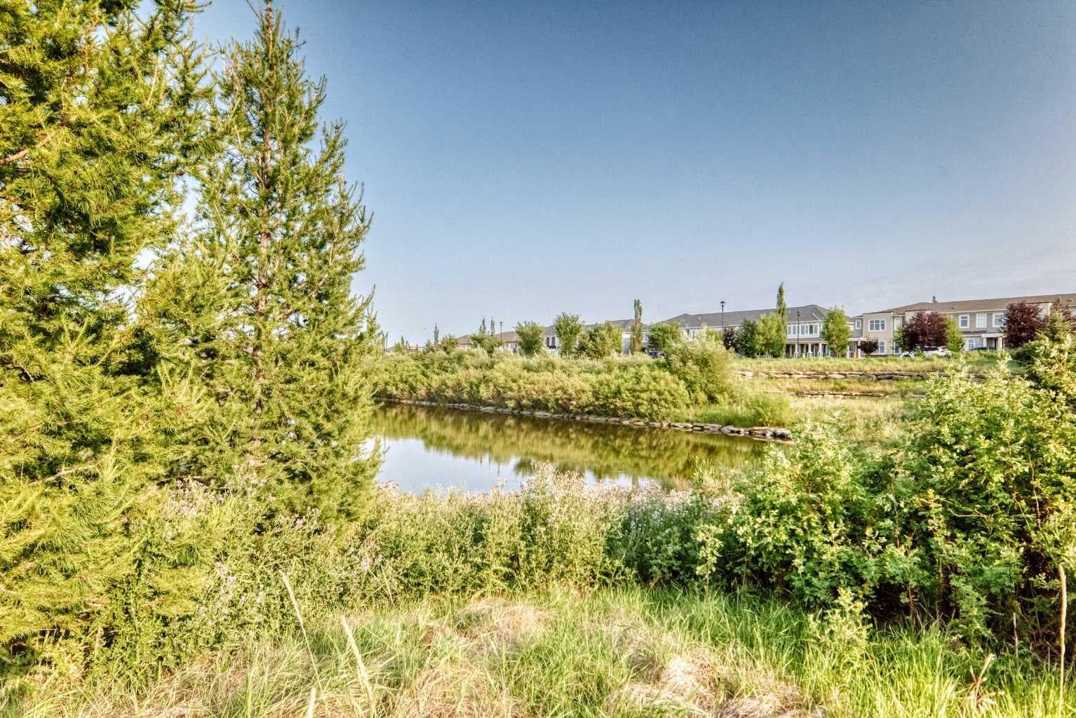 169 Windford Park SW