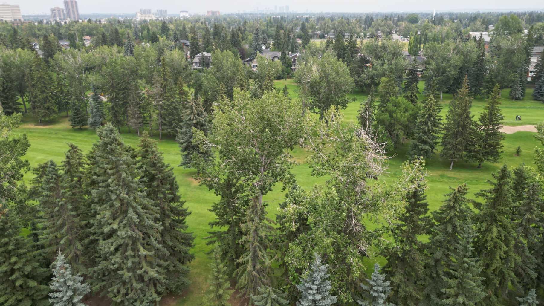 1702, 11010 Bonaventure Drive SE