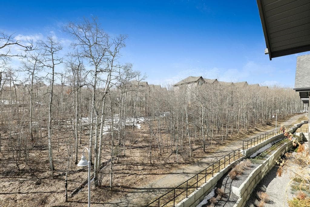 313, 25 Aspenmont Heights SW