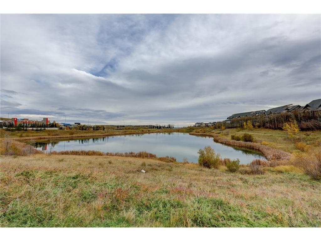 313, 25 Aspenmont Heights SW