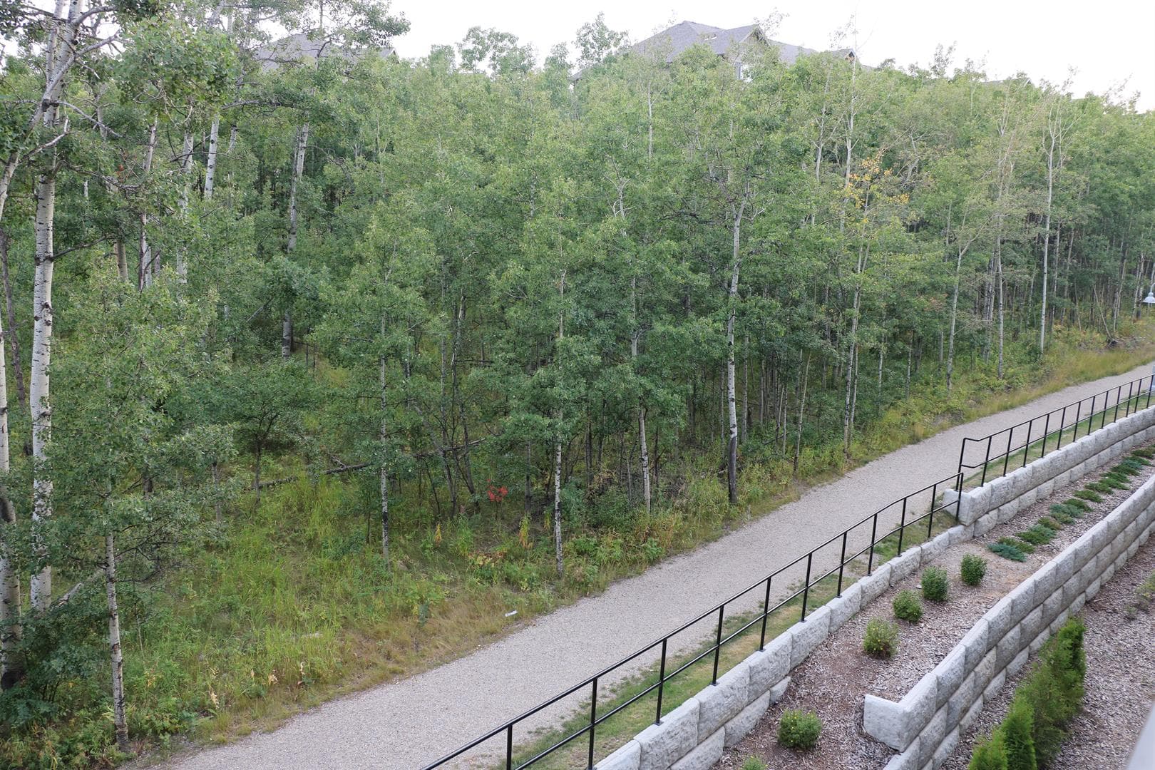 313, 25 Aspenmont Heights SW
