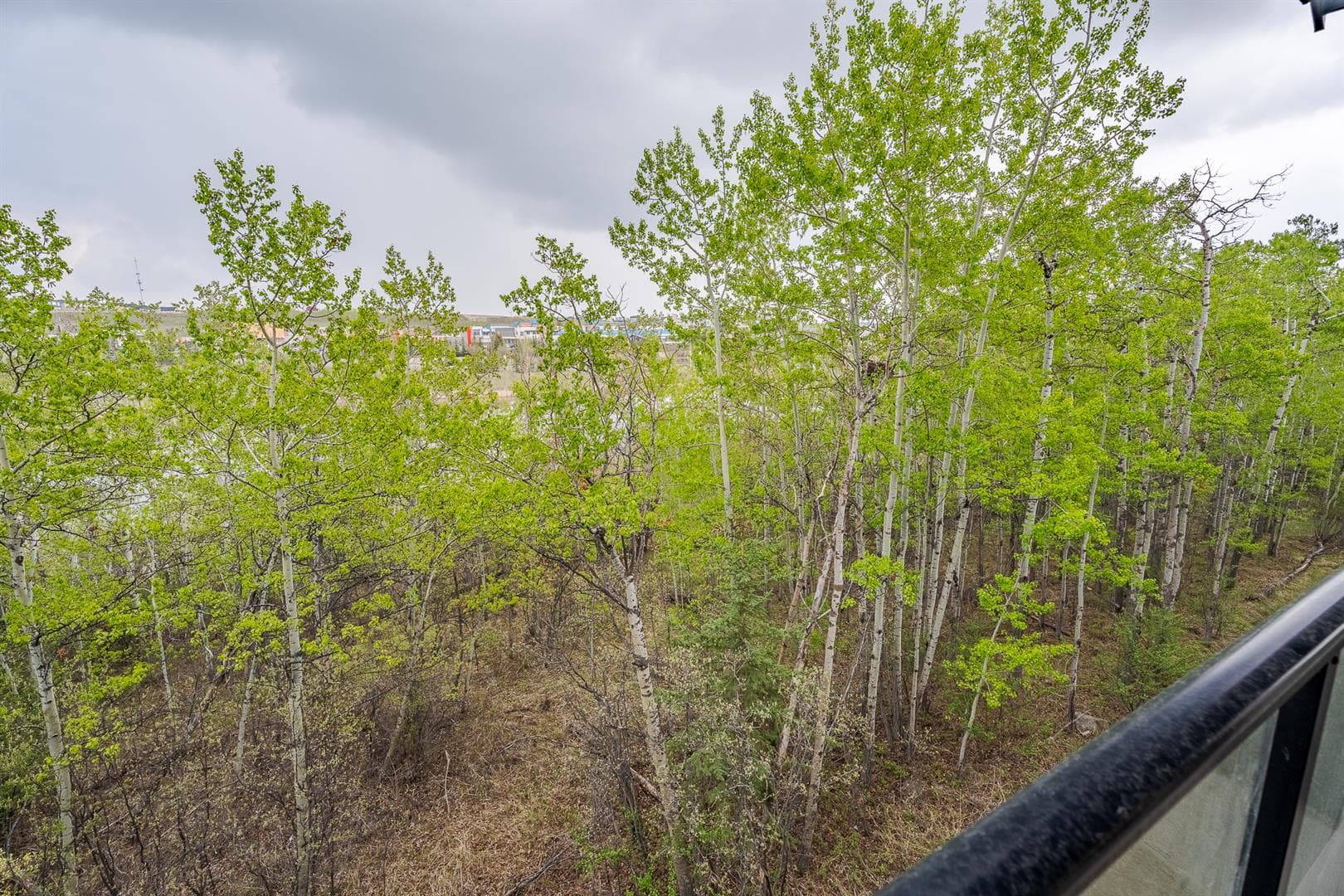 209, 45 Aspenmont Heights SW