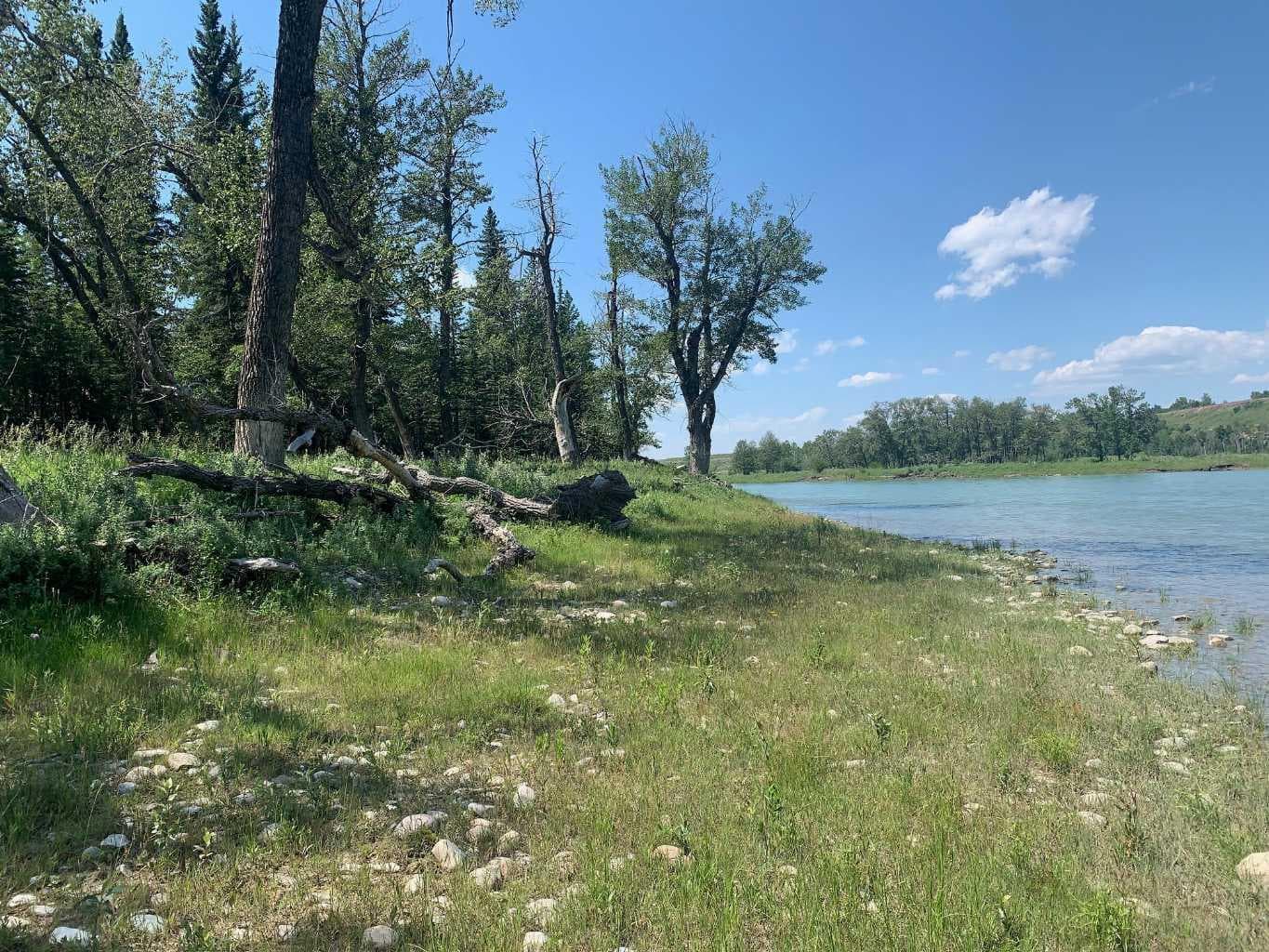 75.50 Acres North Springbank  5;3;25;28;SE  