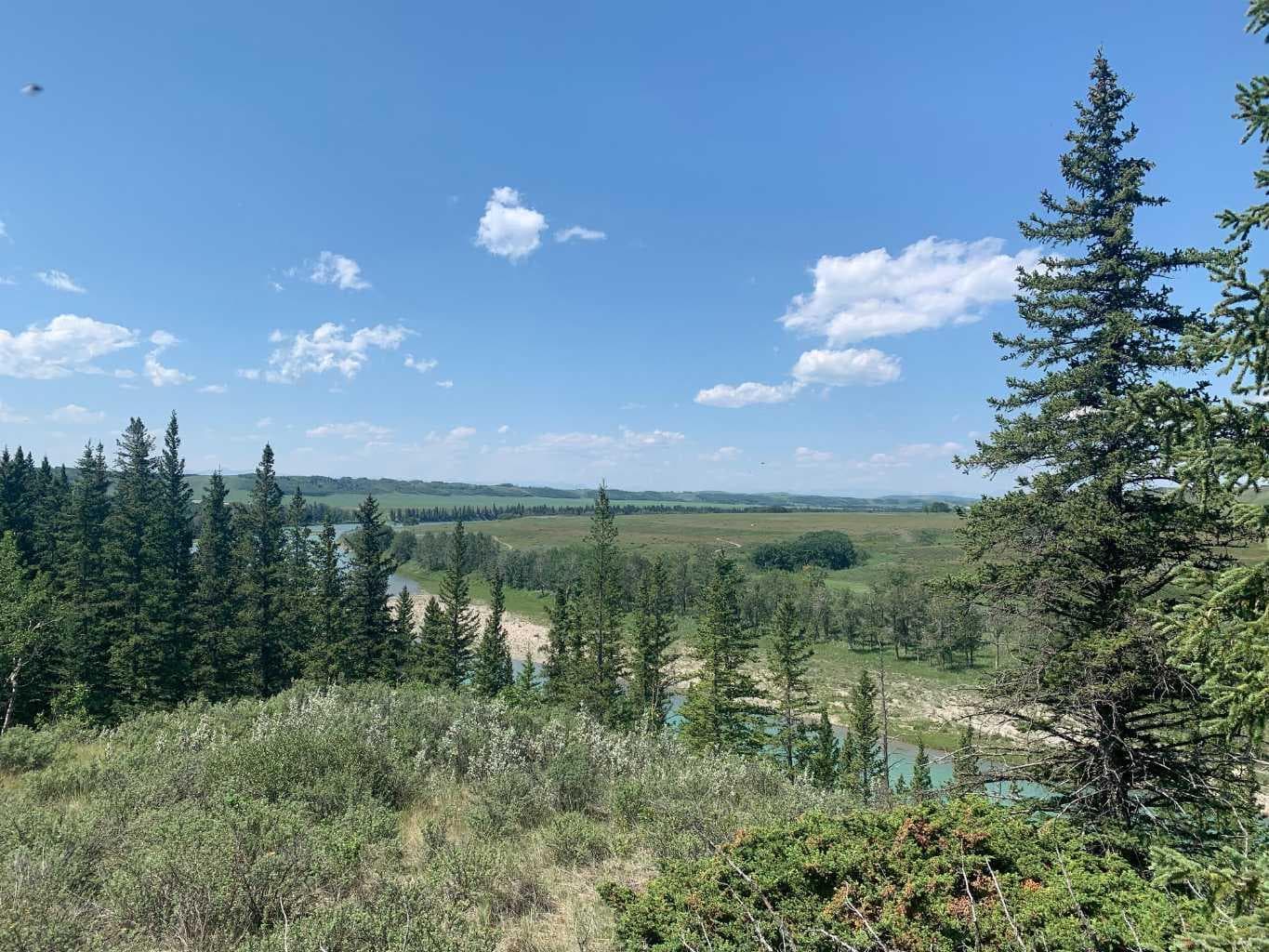 75.50 Acres North Springbank  5;3;25;28;SE  