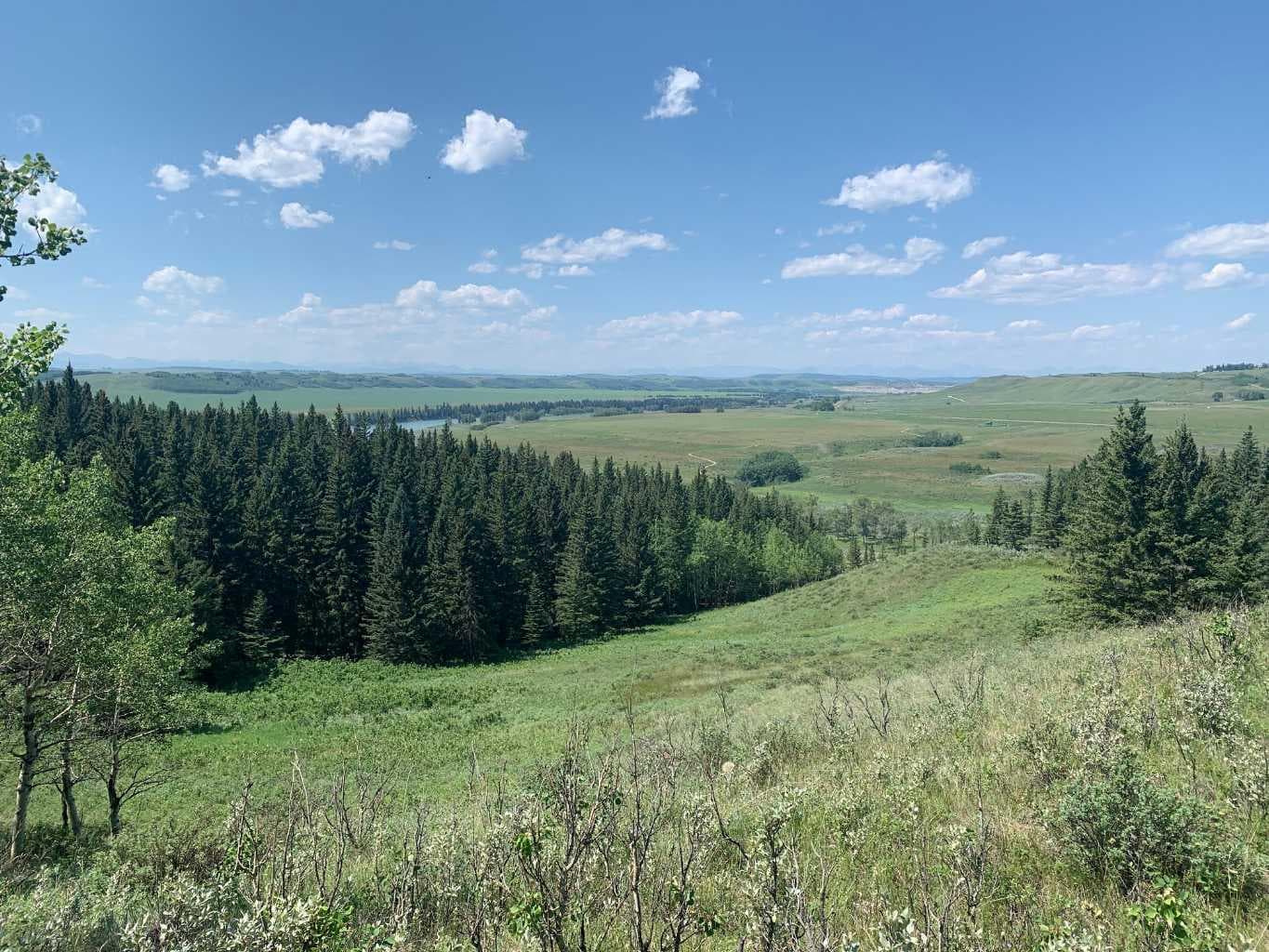 75.50 Acres North Springbank  5;3;25;28;SE  
