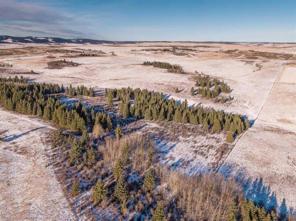  Horse Creek Road 