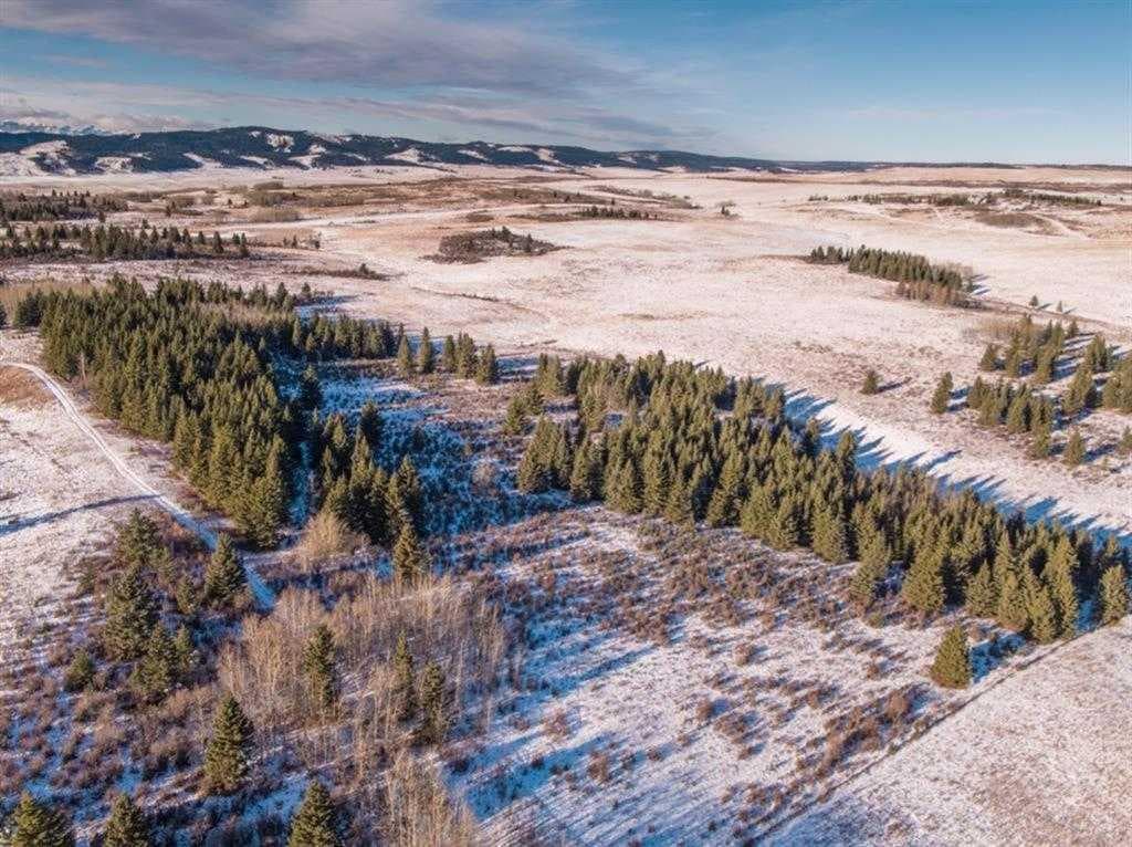  Horse Creek Road 
